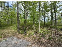 N/a Northey's Bay Road, North Kawartha, ON K0L2H0 Photo 10