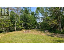 3783 Campbell Road, Severn, ON L3V0V3 Photo 26