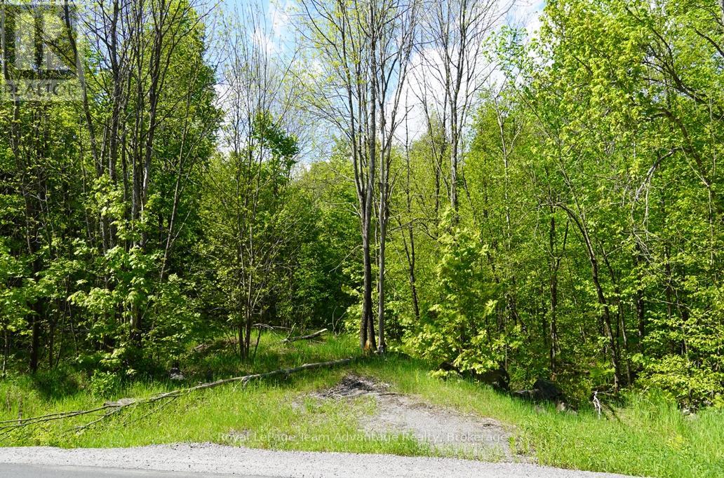 0 HURDVILLE ROAD S, McKellar — photo 3