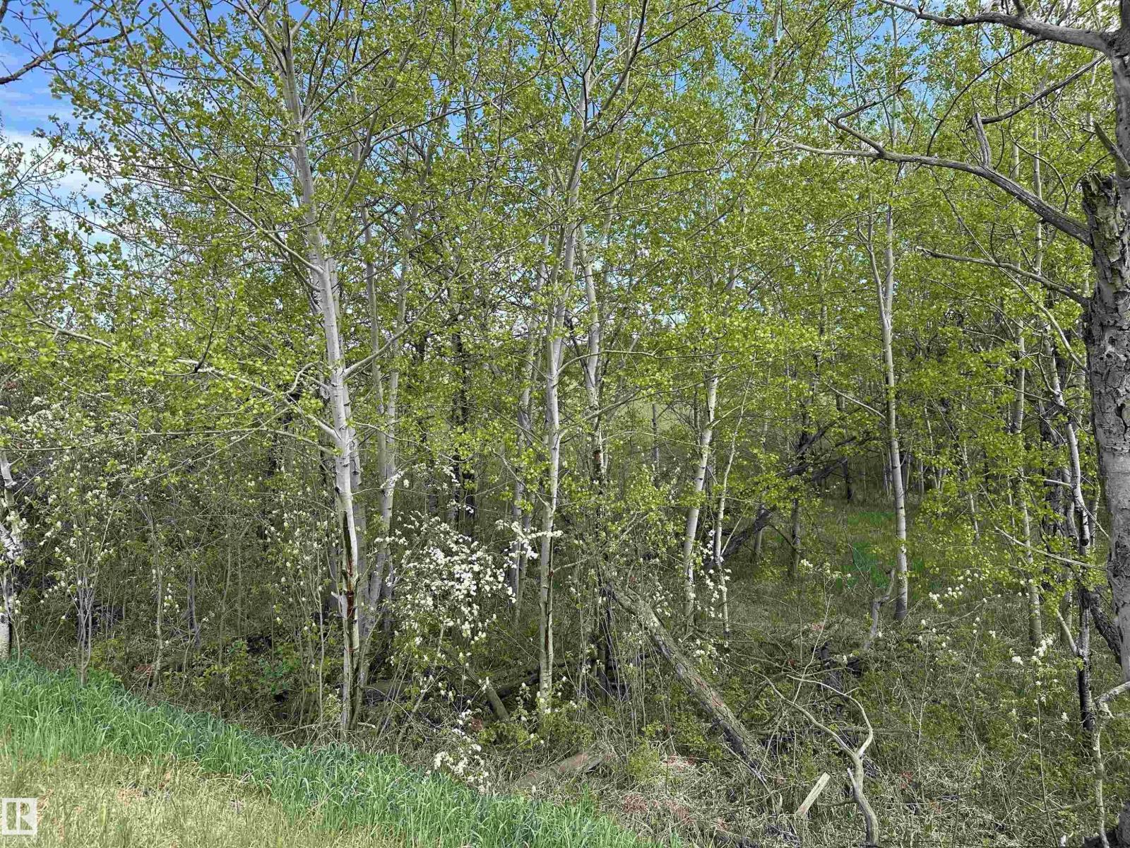 563003 Range Road 205 — photo 42