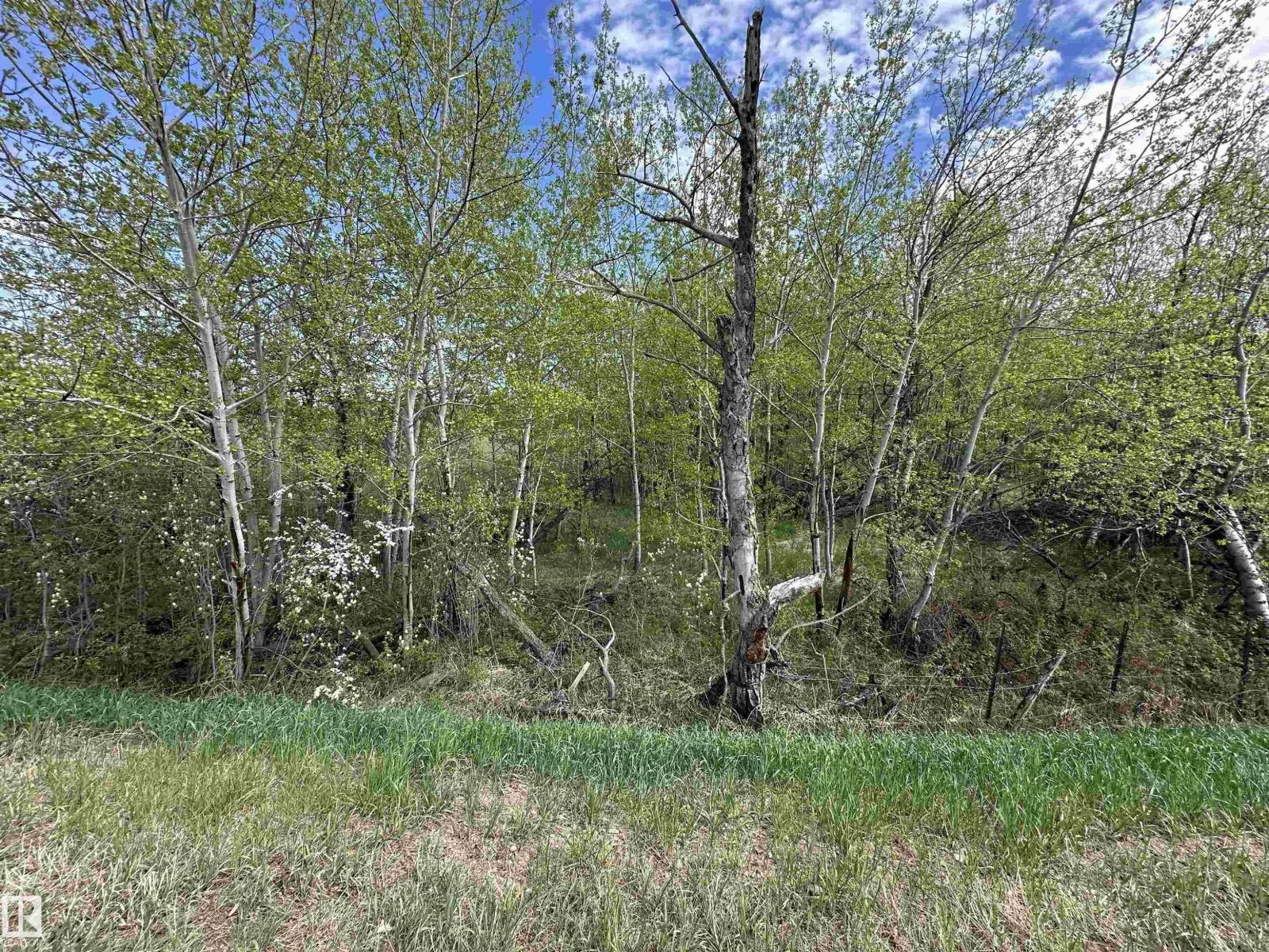 563003 Range Road 205 — photo 67