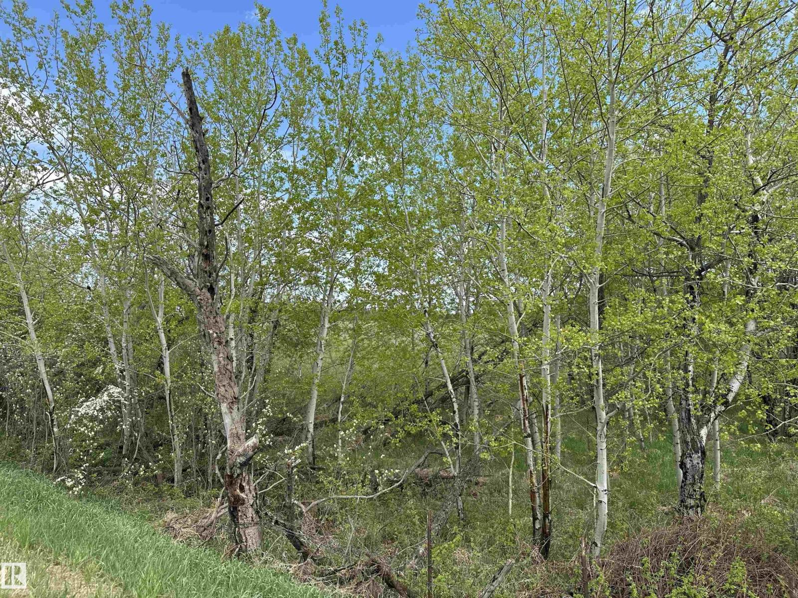 563003 Range Road 205 — photo 71