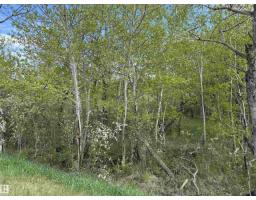 563003 Range Road 205, Rural Lamont County, AB T8A4E4 Photo 42