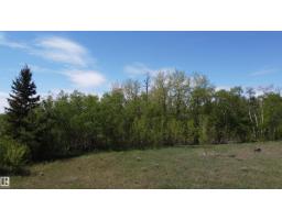 563003 Range Road 205, Rural Lamont County, AB T8A4E4 Photo 48