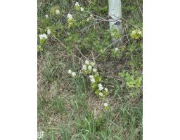 563003 Range Road 205, Rural Lamont County, AB T8A4E4 Photo 69