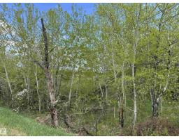563003 Range Road 205, Rural Lamont County, AB T8A4E4 Photo 71