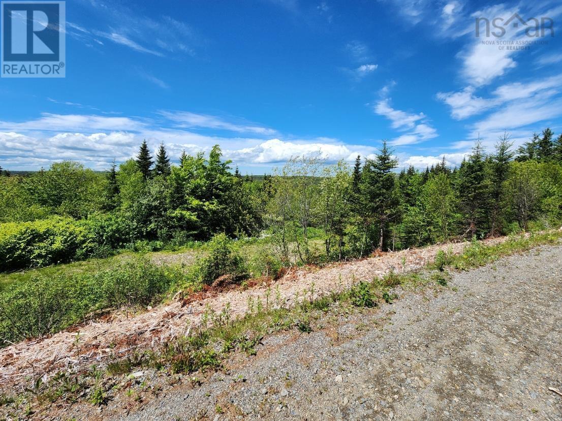 Property 2 of 6 of Larrys River Road