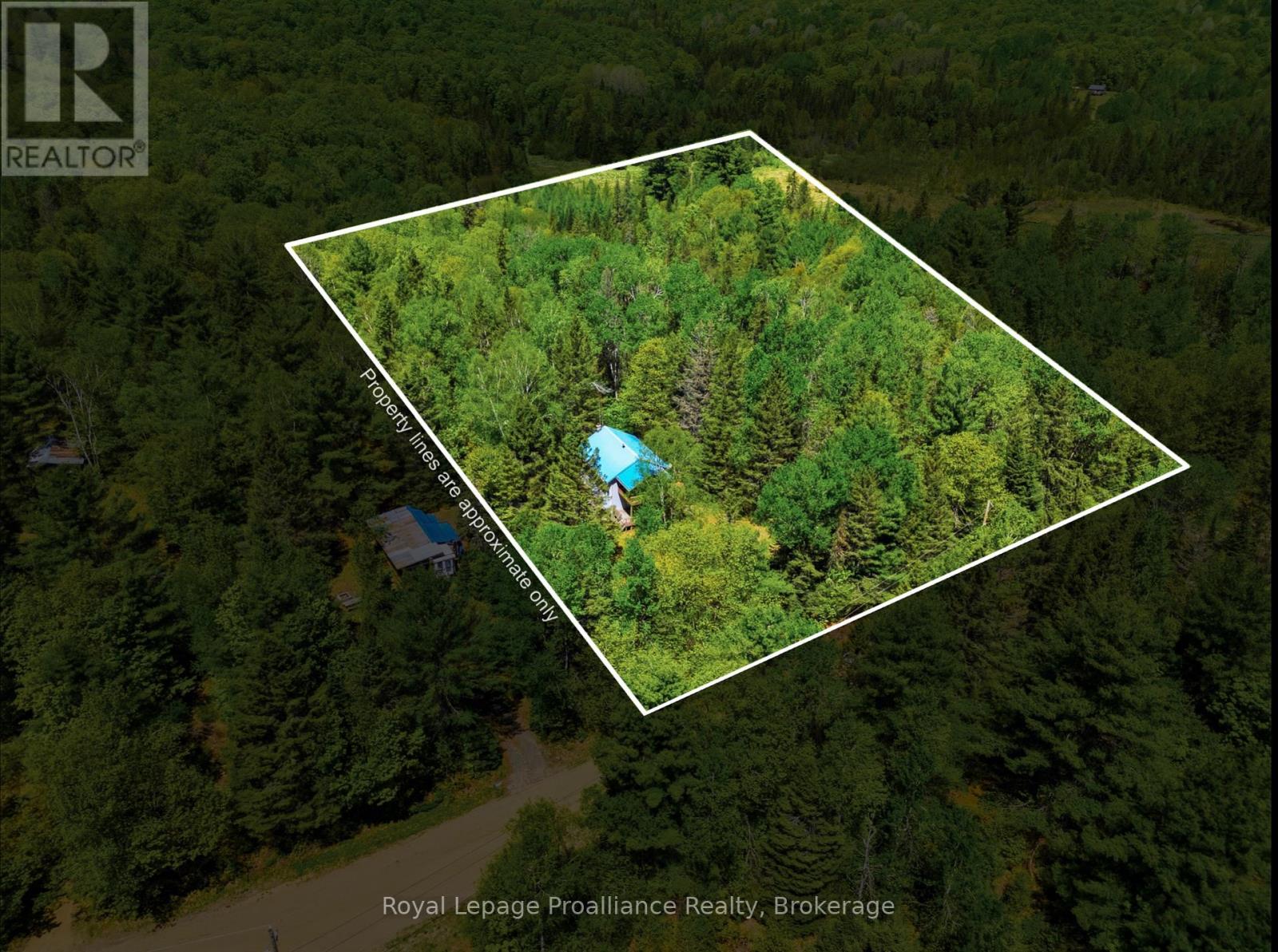 339 LITTLE FINCH LAKE ROAD - 3
