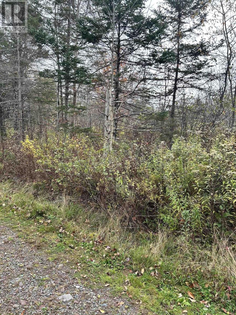 Property 3 of 9 of Guysborough Road