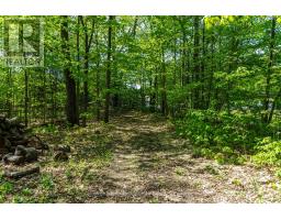 2555 Hodgins Road, Severn, ON L0K2C0 Photo 27