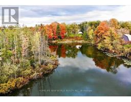 3134 Bloomington Road, Whitchurch Stouffville, ON L4A7X5 Photo 40