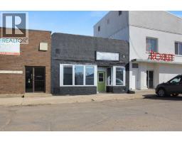 5213 50 Street, Viking, AB T0B4N0 Photo 8