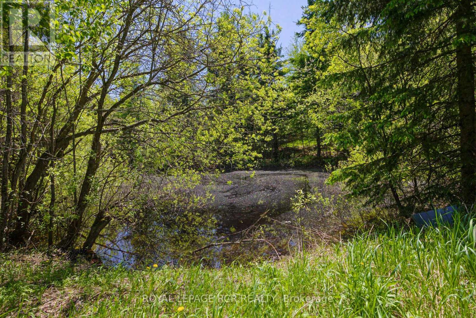 573106 SOUTHGATE SIDEROAD 57 - 33