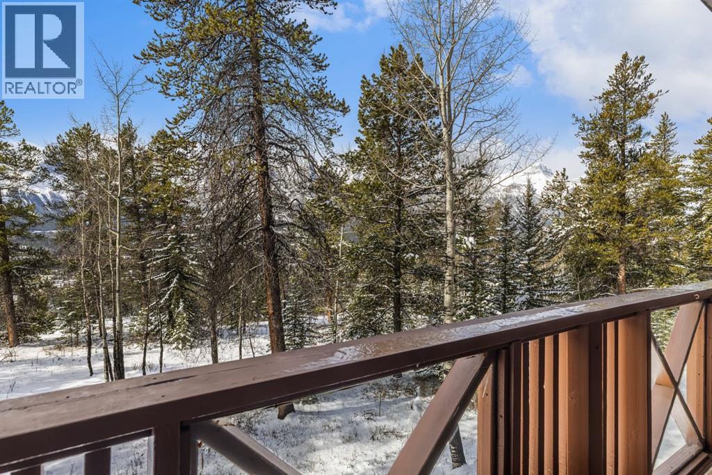 #202 3 Aspen Glen - 22