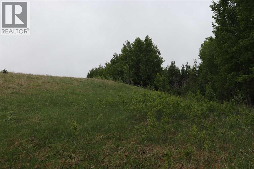 Lot 1 NE-21-53-11 - photo 4