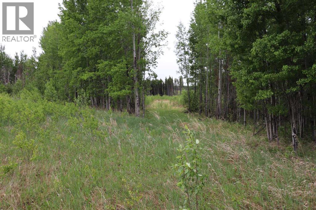 Lot 1 NE-21-53-11 — photo 9