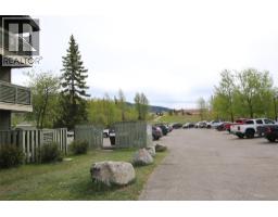 185 Chamberlain Crescent Unit# 113, Tumbler Ridge, BC V0C2W0 Photo 18