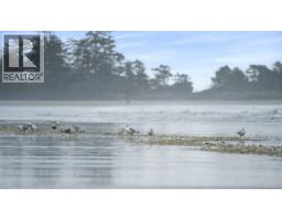 1257 Lynn Rd, Tofino, BC V0R2Z0 Photo 68