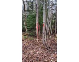 Lot 24-3 Little Harbour Road, Frasers Mountain, NS B2H3T5 Photo 7