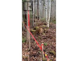 Lot 24-3 Little Harbour Road, Frasers Mountain, NS B2H3T5 Photo 13