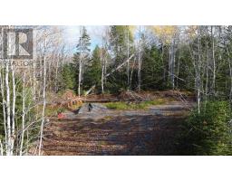 Lot 8 Shady Lane, Loch Broom, NS B0K1H0 Photo 13