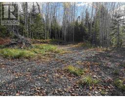 Lot 8 Shady Lane, Loch Broom, NS B0K1H0 Photo 17