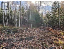 Lot 8 Shady Lane, Loch Broom, NS B0K1H0 Photo 10