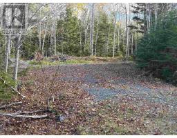 Lot 8 Shady Lane, Loch Broom, NS B0K1H0 Photo 6
