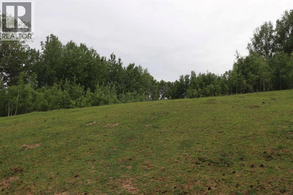 53508 Range Road 102A - 9