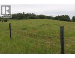 Other - 53508 Range Road 102a, Rural Yellowhead County, AB T0E2M0 Photo 10