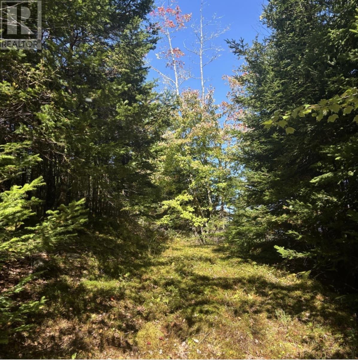 Property 7 of 10 of Lot 23 Anderson Drive