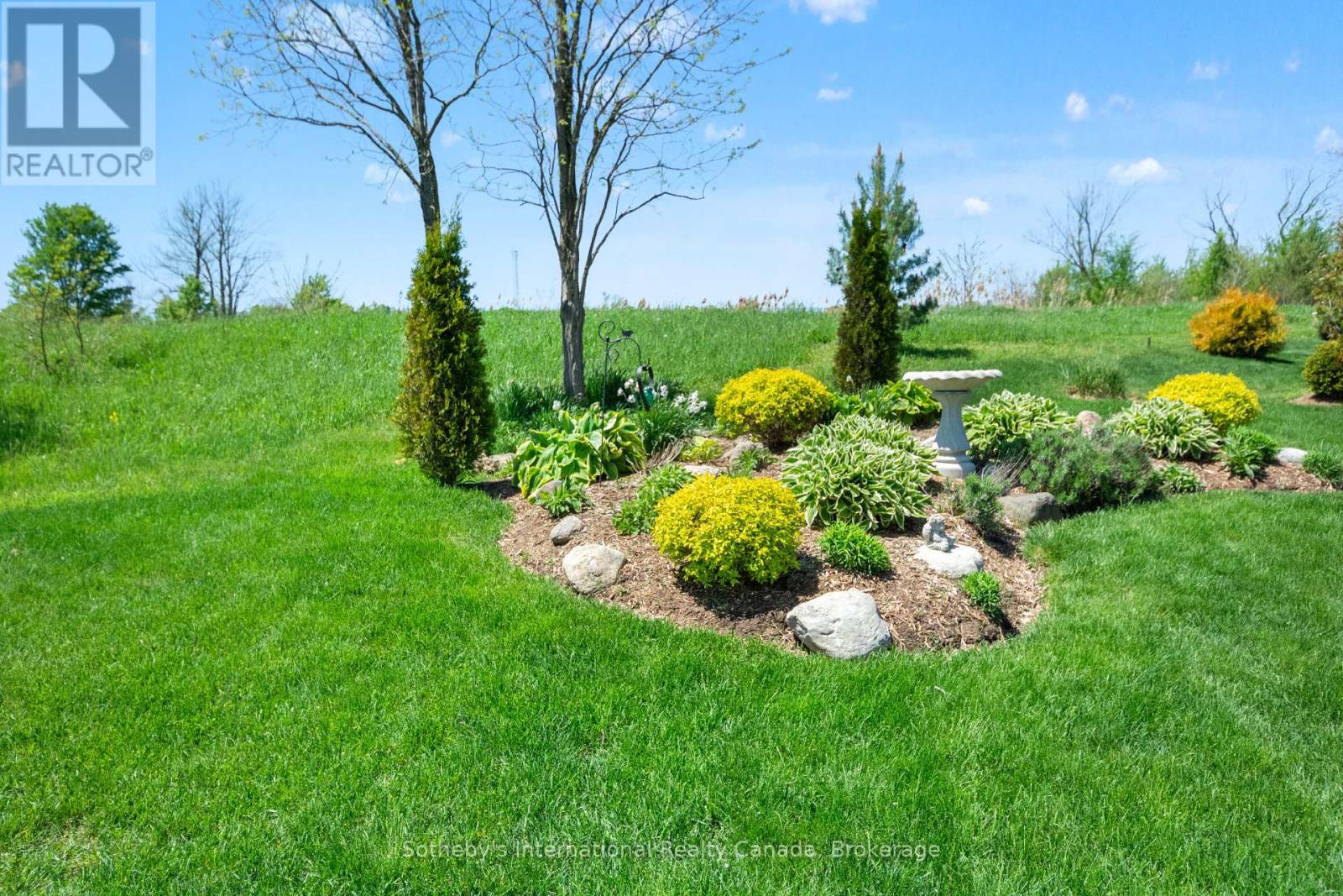 208 SNOWBERRY LANE - 4