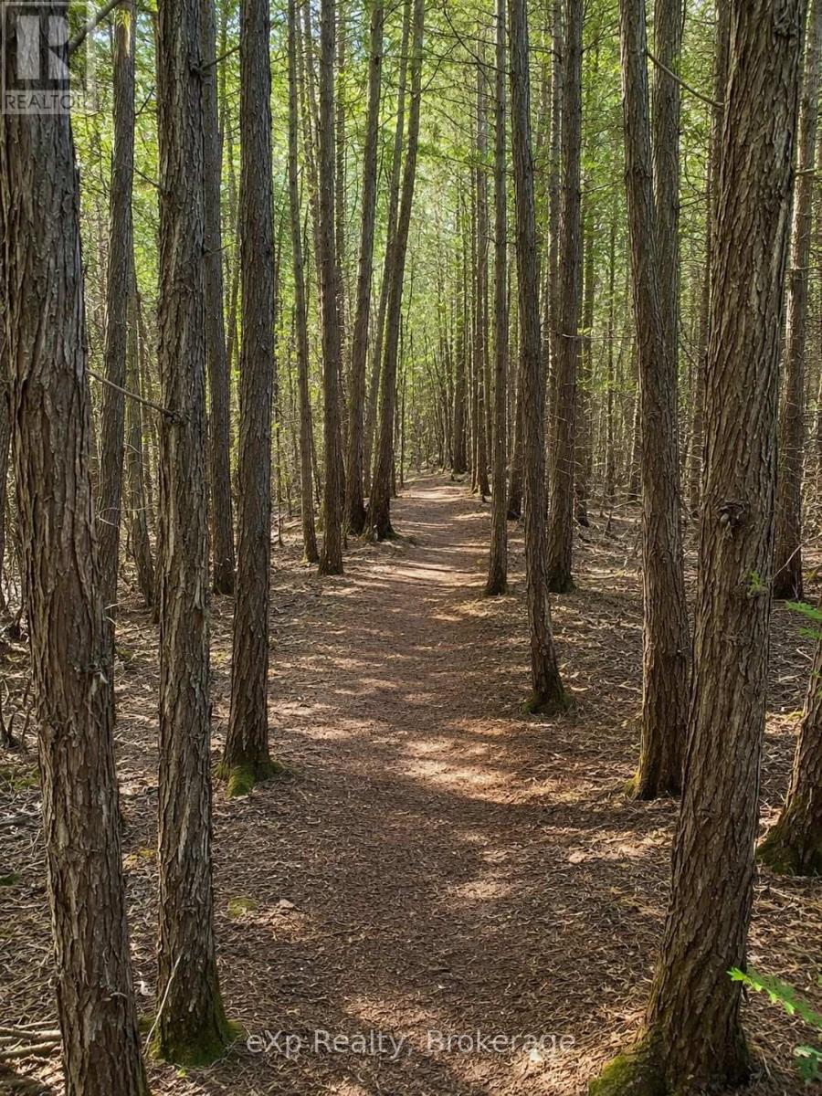 Trail