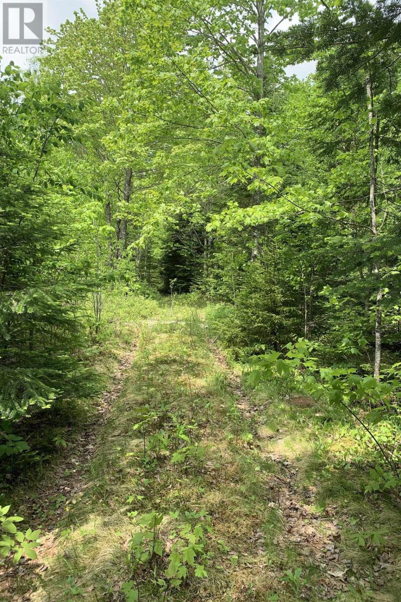 Property 3 of 8 of Lot 6 Highway 321