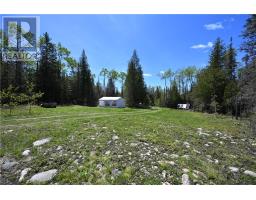 85 Leason Bay Trail, Assiginack, ON P0P2C0 Photo 9