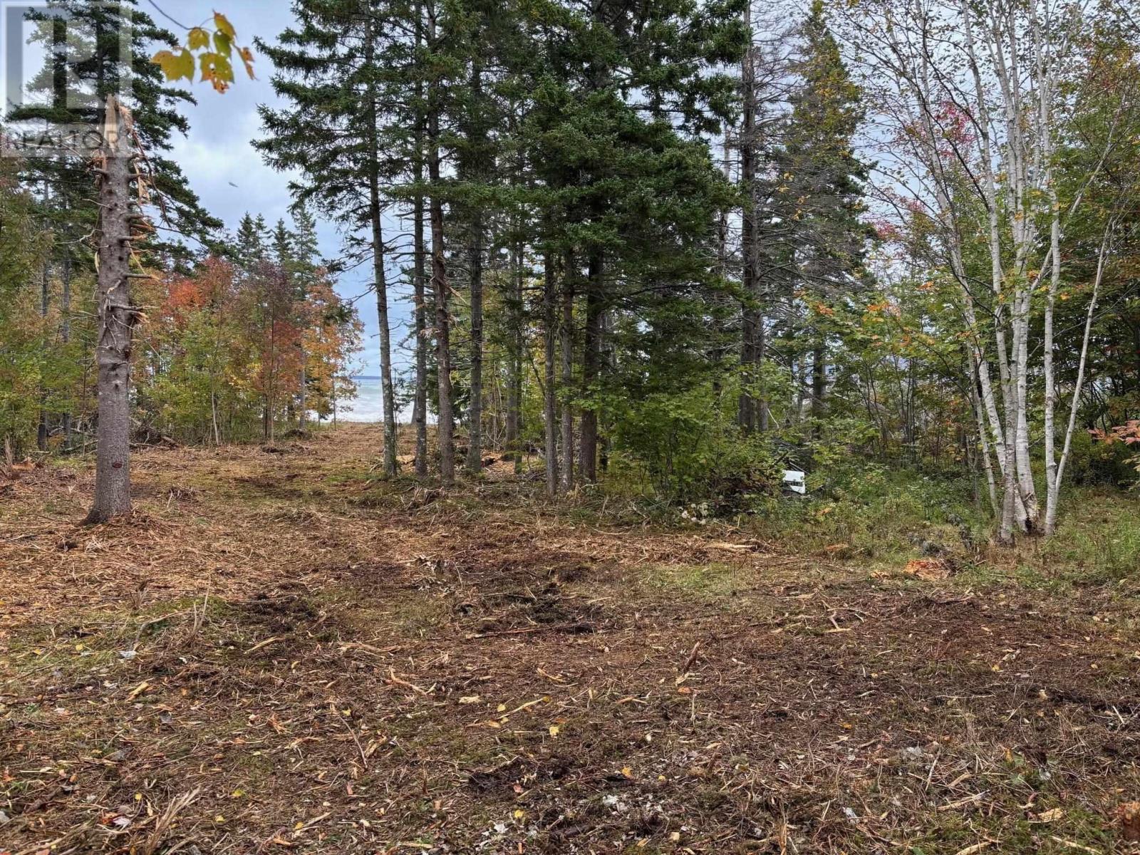 Lot 2-24 Cabot Trail - 21
