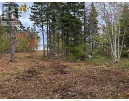 Lot 2-24 Cabot Trail, Indian Brook, NS B0C1H0 Photo 21