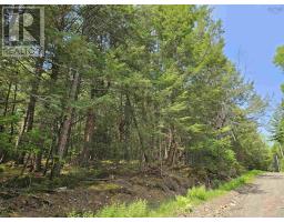 10b Cottage Lane, Pleasantfield, NS B0T1X0 Photo 6