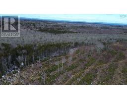 340 Highway, Weaver Settlement, NS B0W3T0 Photo 23