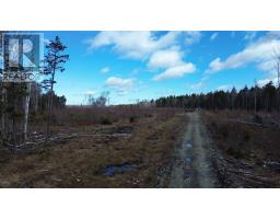 340 Highway, Weaver Settlement, NS B0W3T0 Photo 24