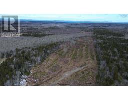 340 Highway, Weaver Settlement, NS B0W3T0 Photo 20