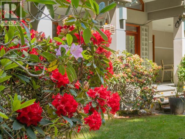 7734 MC AULAY ROAD - 61