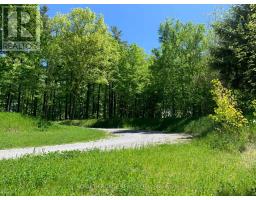 6677 Concession 2 Road, Uxbridge, ON L6P0H6 Photo 17
