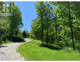 6677 Concession 2 Road, Uxbridge, ON L6P0H6 Photo 15