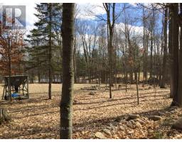 6677 Concession 2 Road, Uxbridge, ON L6P0H6 Photo 29