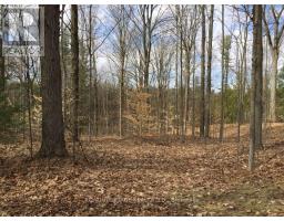 6677 Concession 2 Road, Uxbridge, ON L6P0H6 Photo 32