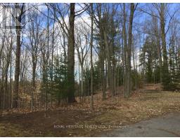 6677 Concession 2 Road, Uxbridge, ON L6P0H6 Photo 33