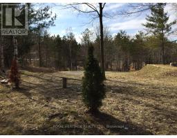 6677 Concession 2 Road, Uxbridge, ON L6P0H6 Photo 34