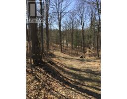 6677 Concession 2 Road, Uxbridge, ON L6P0H6 Photo 22