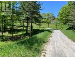 6677 Concession 2 Road, Uxbridge, ON L6P0H6 Photo 10